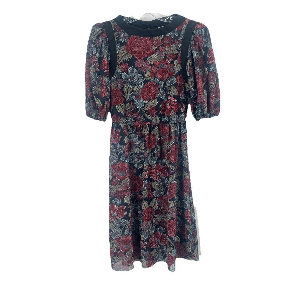 Vtg Floral Puff Sleeve Dress Dark Romantic Sheer Whimsical Union Tag Sz 6